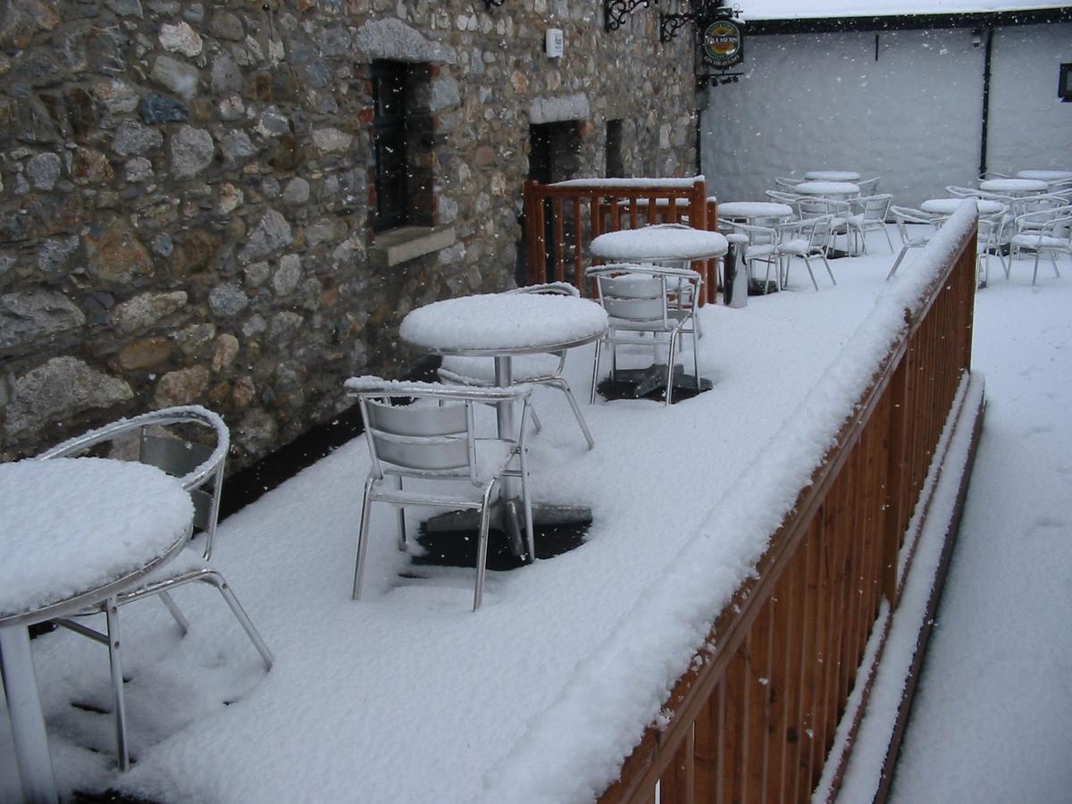 The Coach House Bed and Breakfast Roundwood Buitenkant foto